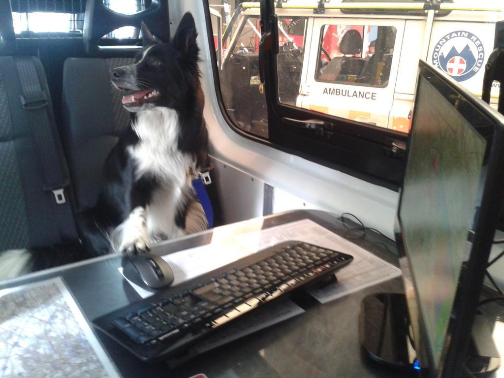 Trainee Search Dog Blitz impresses the crowds by operating our somewhat complex I.T. mapping systems!